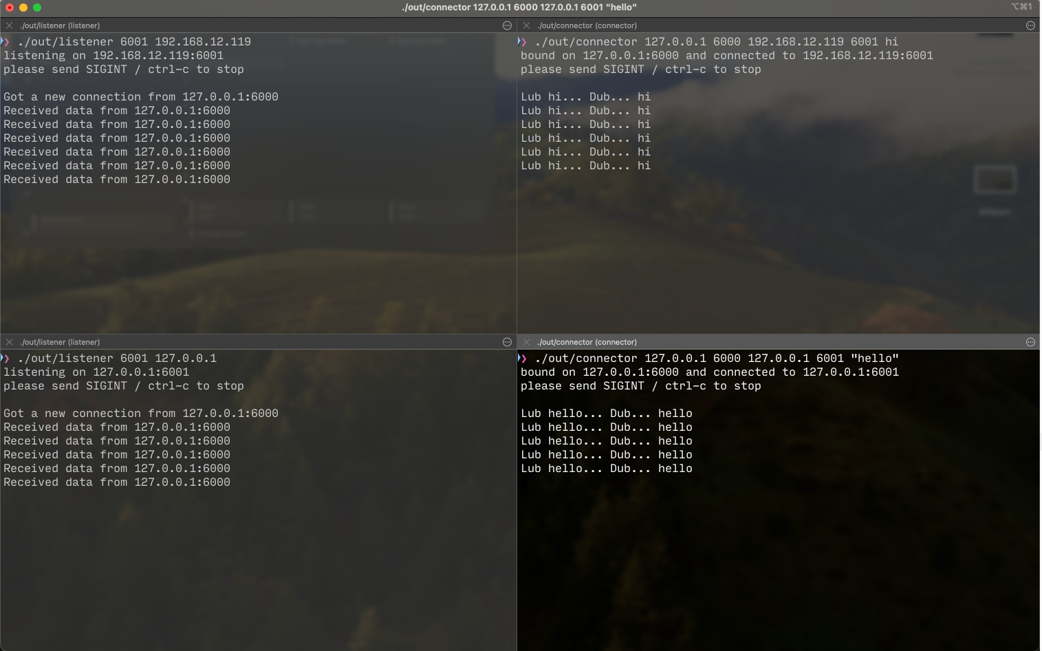 multiple destination ip demo